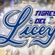 El Tigres del Licey El Tigres del Licey