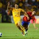 TIGRES - CRUZ AZUL TIGRES - CRUZ AZUL